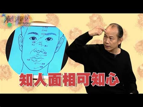 面相分析圖|靈匣網面相大全